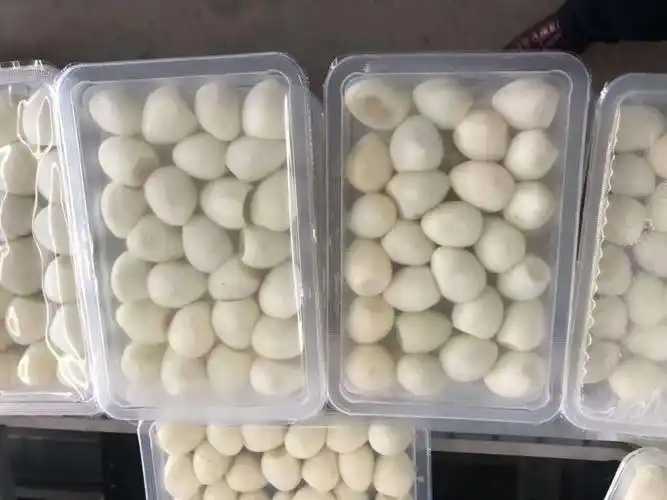 整線解決方案，優(yōu)化生產流程：鵪鶉蛋包裝神器來襲
